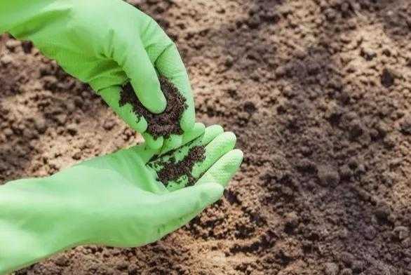 土壤是不是生物（土壤是生物因素还是非生物因素）
