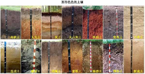 土壤颜色分为（土壤颜色主要有几种）-图1