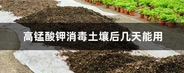 高锰酸钾给土壤消毒（高锰酸钾给土壤消毒效果怎么样）