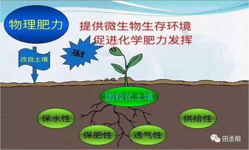 土壤肥力改善（土壤肥力改善措施）