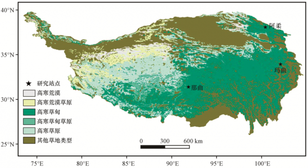 青藏高原土壤类型（青藏高原地区土壤特征）-图1