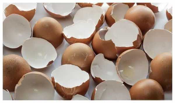 鸡蛋皮对土壤（鸡蛋皮对土壤有害吗）