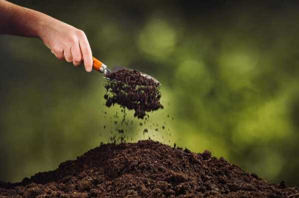 怎么增加土壤肥力（增加土壤肥力的办法）