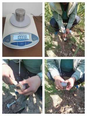 土壤容重取样（土壤容重取样,测定,记录,计算视频）