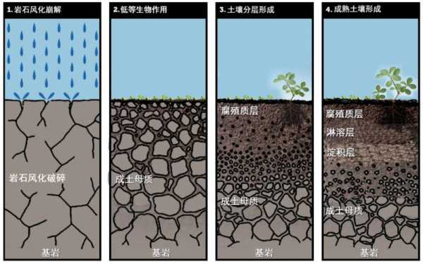 土壤水蓄满（土壤水分太多怎么弄）