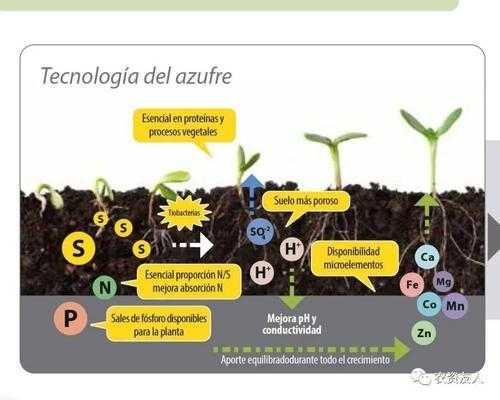 土壤生物分布（土壤生物的分布）-图3