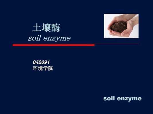 土壤酶作用（土壤酶有哪些）-图1
