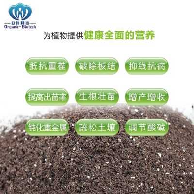 土壤修复改良剂（土壤修复改良剂能不能当做肥料）-图2