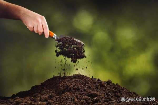 土壤吸力（什么是土壤吸力）-图3