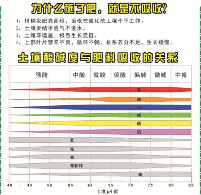 上海土壤酸碱度（调节土壤酸碱度的方法）-图1