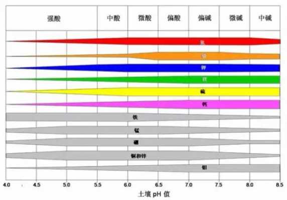 上海土壤酸碱度（调节土壤酸碱度的方法）-图3