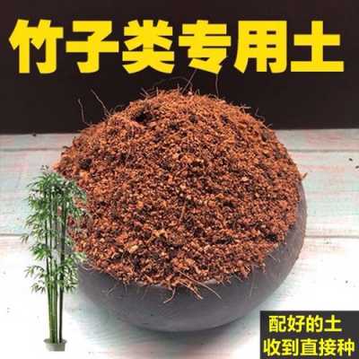 种竹子土壤（种竹子土壤厚度）-图3