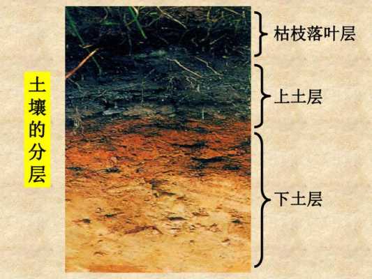 土壤的两种（土壤包括哪两部分）
