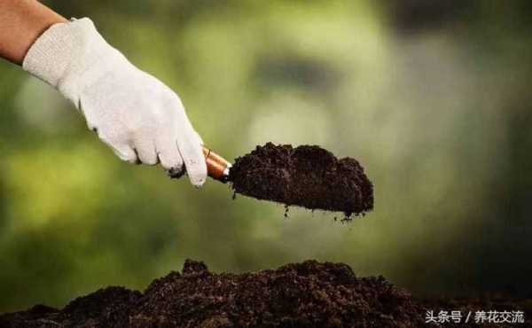 增加土壤肥力（增加土壤肥力的方法有哪些）
