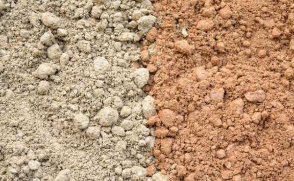长沙土壤（长沙土壤颜色）-图1