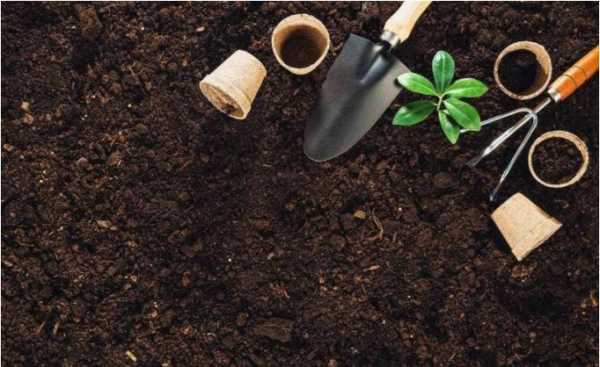 土壤科学施肥（土壤科学施肥的方法有哪几种）
