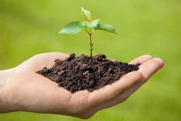 改善土壤肥性（土壤的施肥改良）
