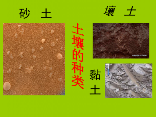 砂质古土壤（砂质土壤的主要特点）