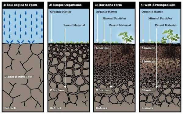 土壤洪水（土壤对蓄积水和减轻洪涝灾害的意义）-图3