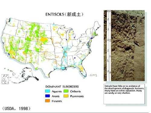 美国买土壤（美国送中国土壤）-图3