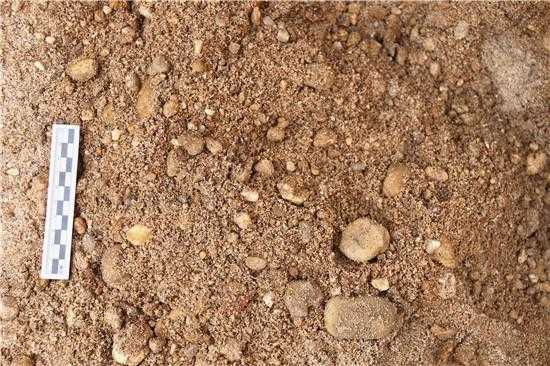砂砾土壤特点（砂砾土壤特点是什么）