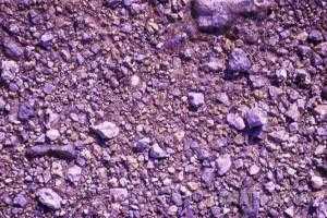 土壤亚类（紫色土的主要土壤亚类）-图1