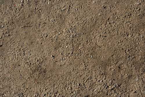沙性土壤（沙性土壤图片）-图3