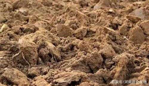 黄沙土壤酸（黄沙含土量高好还是不好）-图1