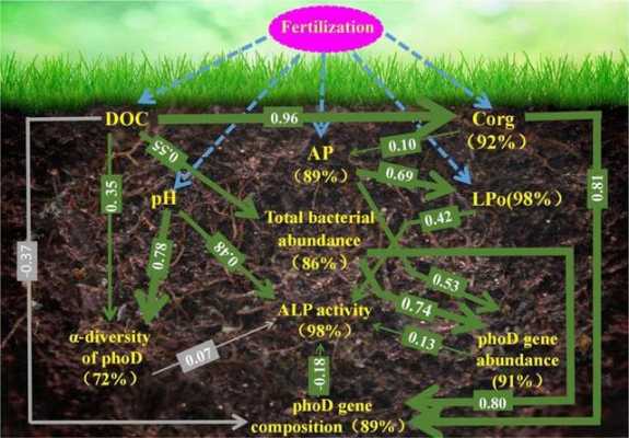 土壤碳十四（土壤碳组分）-图1