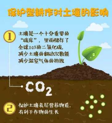 土壤碳十四（土壤碳组分）-图2