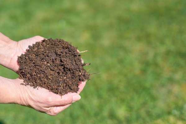怎样改良碱性土壤（如何改良碱性土壤为酸性土壤）