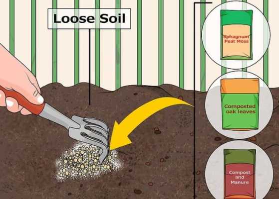 如何把土壤变酸性（怎样把土壤变成酸性土壤）