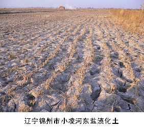华北平原土壤盐渍化（华北地区春季土壤盐渍化严重的原因）