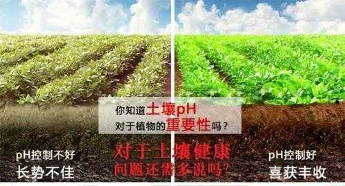 降低土壤酸性（降低土壤酸性的化学式）