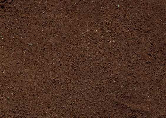 深褐色的土壤（深褐色的土壤叫什么）