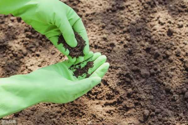 怎样改善土壤酸碱度（怎么样改善土壤酸碱度）