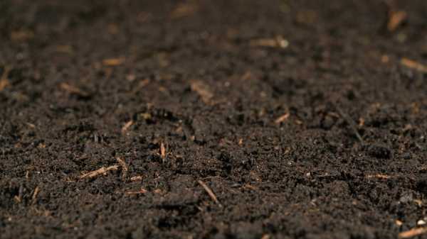 土壤的视频（土壤视频高清）