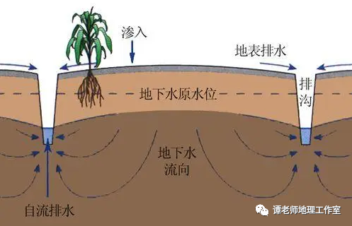 土壤潜水面（土壤中的地下水主要是地下潜水,其水位）