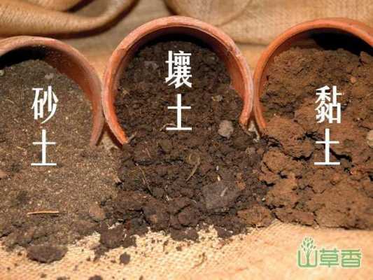壤质土壤的特点（壤土的特点是什么简单说一下）