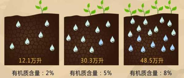 土壤水容肥（土壤容水量）