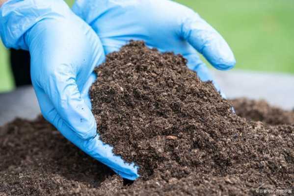 复合肥施多了土壤（复合肥多久能被土壤分解）