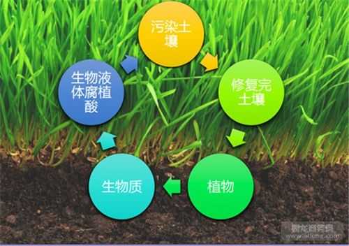 土壤修复氧化剂（土壤修复氧化剂有哪些）