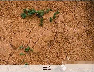 土壤质量差（土壤质量下降有哪些形式）